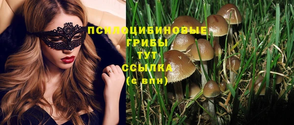 метадон Осинники